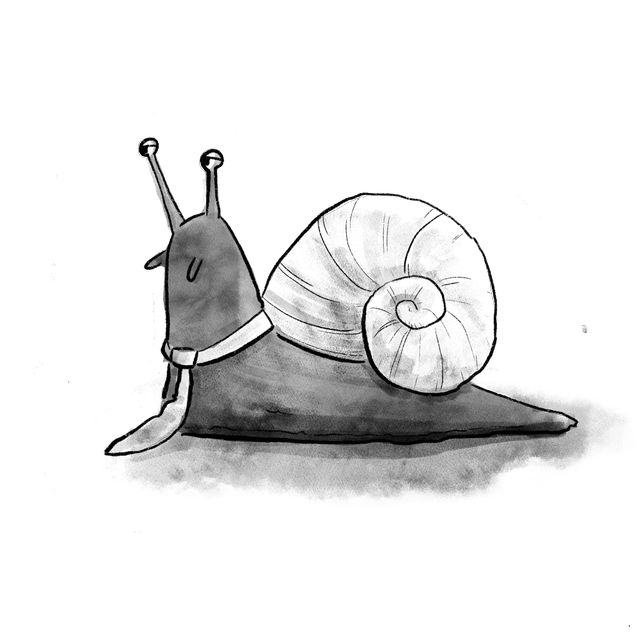 snail